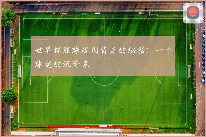 世界杯赌球规则背后的秘密:一个球迷的沉浮录