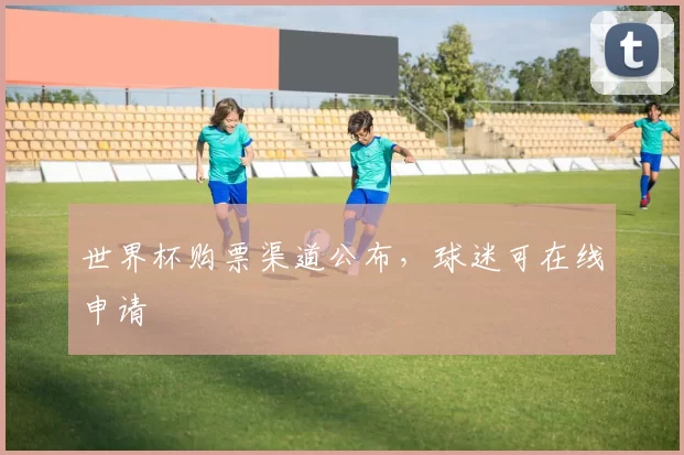 世界杯购票渠道公布，球迷可在线申请