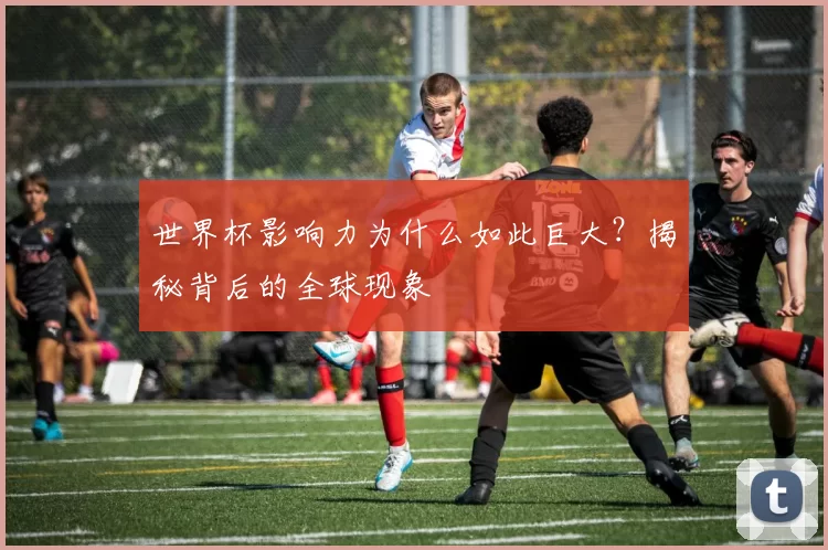 世界杯影响力为什么如此巨大？揭秘背后的全球现象