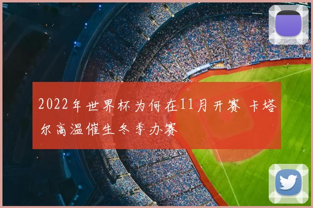 2022年世界杯为何在11月开赛 卡塔尔高温催生冬季办赛